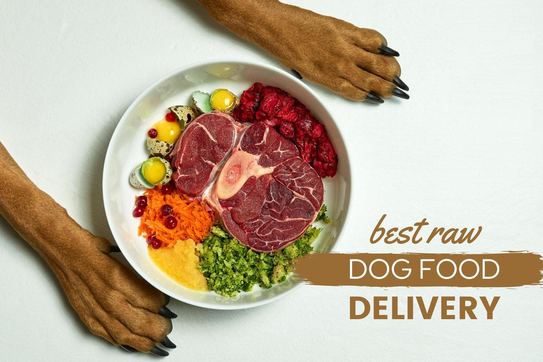 The Best Raw Meat For Dogs