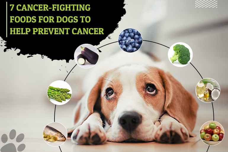 A Multidisciplinary Strategy To Dog Tumors