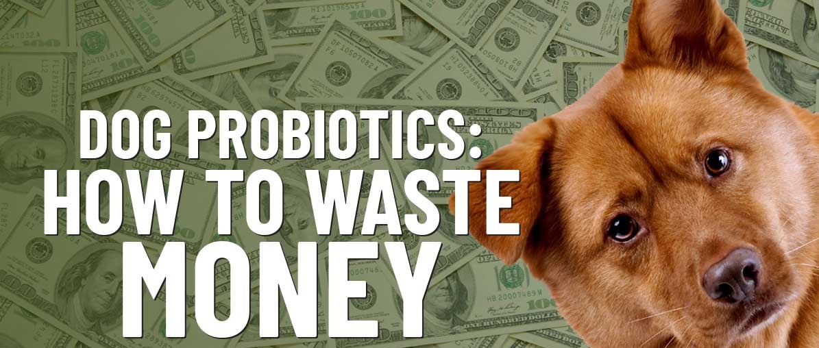 Dog Probiotics: A Money-Washing Scheme